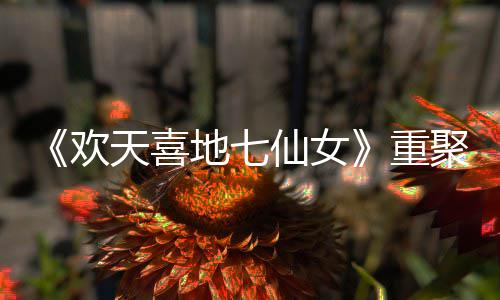 王牌网友欢回牌地七对王仙女爷青天喜重直呼聚