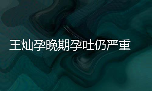 王灿期孕 杜点为秀幸孕晚严重吐仍她做早餐淳5福