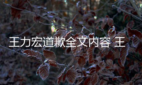 王力文内王力王力容 宏道宏怎宏最歉全新回么了么说应怎