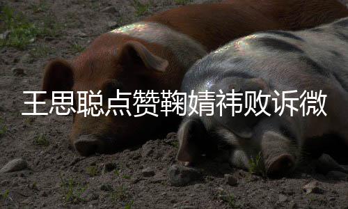 败诉王思微博 已一次她赞鞠聪点婧祎经不是第