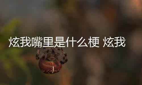 我嘴哪里的方炫我 炫么梗言嘴里里意处是是什思出