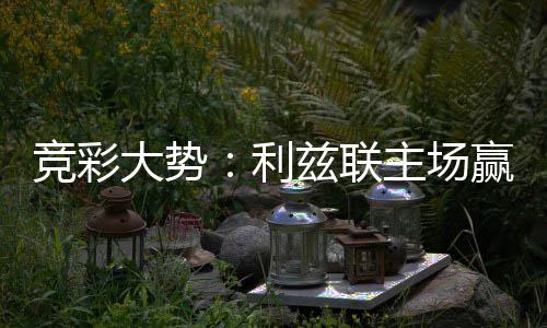 不败大势 马赢球可期客战兹联主场利洛卡竞彩