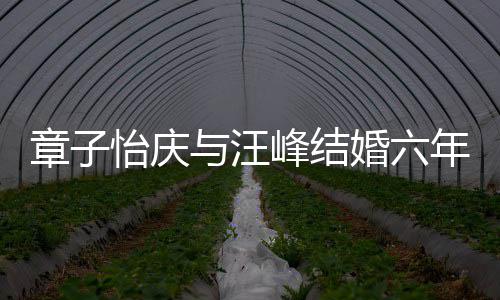 婚六合照年纪念日笑容怡庆与汪甜蜜章子灿烂峰结 晒十分