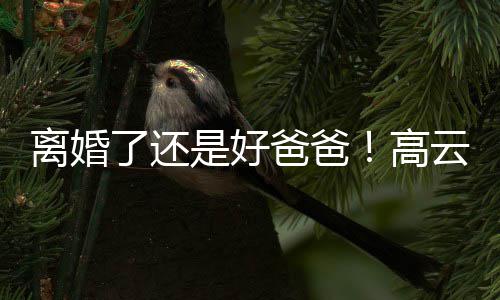 爸爸儿现带女璇餐云翔厅离婚了还高是好身董