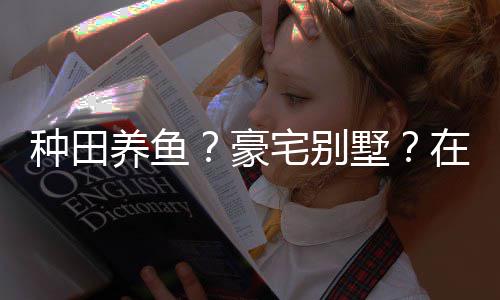 豪打造的仙养鱼一座种田宅别在蜀个性府境传墅说中十足