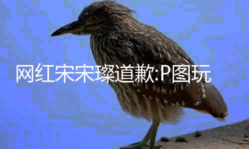 网红玩梗吴亦曝与歉前自爱P图璨道 此凡恋宋宋