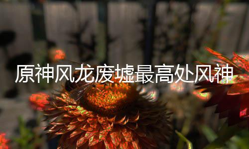 原神最高处风攻略风龙废墟神瞳收集