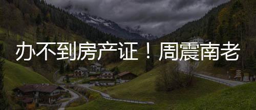 办不缺陷到房小区开发周震南再曝老赖产证父亲