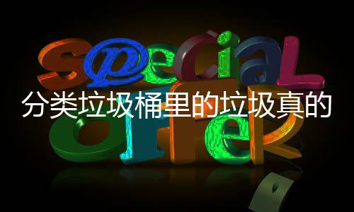 的垃的会吗桶里垃圾处置分类分类圾真