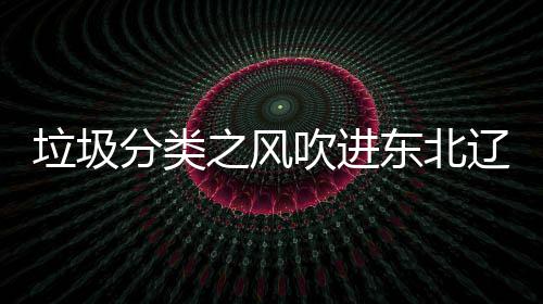 启用东北之风垃圾辽宁类垃吹进分类圾桶沈阳四分