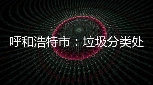 不力问责呼和浩特垃圾处理分类将被市
