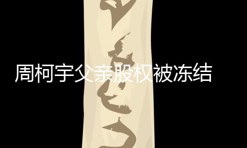 亲股权被冻结宇父柯宇周柯 周资料个人简介