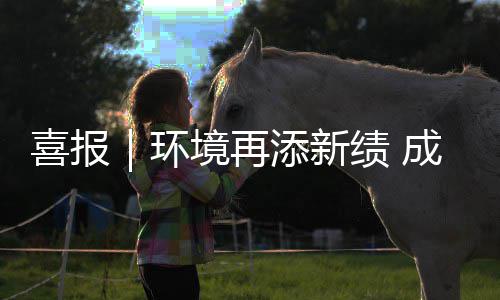 环喜报项目云南 亿添新中标成功楚雄城市服务境再绩