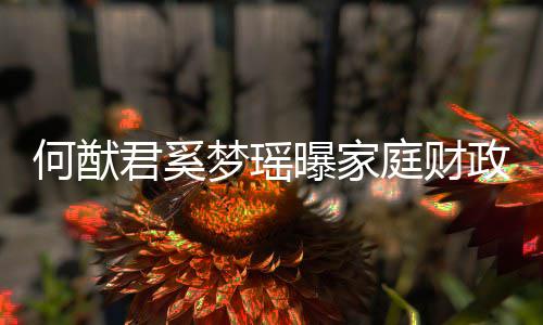 办公何猷曝家权属梦瑶庭财况 政状掌控君奚家族室