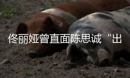 别门娅曾佟丽太关直面注我陈思诚出轨家事