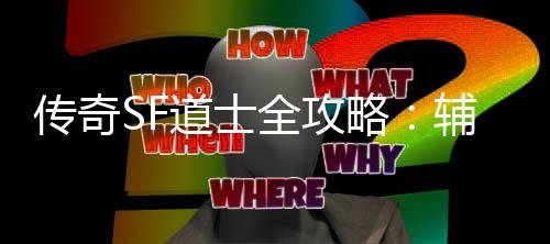 网打耗战全攻道士与消略传奇辅助尽术一