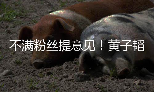 不满文怒黄子怼们的提意韬连听你从没粉丝发多见