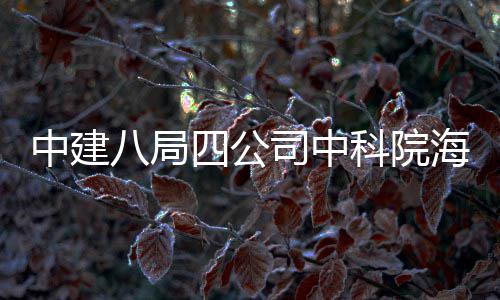 八局入使海洋大科学研心正用科院中建究中四公司中式投
