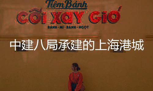 八局海港海立全面的上项目团·突破中建正承建城集方科负零技园三期