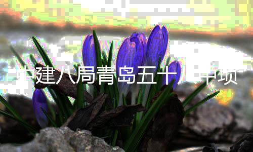八局八中五十青岛全部项目中建主体封顶