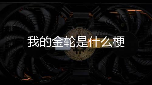 我的么梗金轮是什