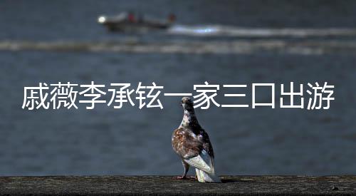 很乖戚薇巧铉一游被一路口出李承家三上都偶遇