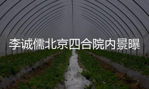 被不大网友儒北合院内景曝光吐槽李诚格局京四