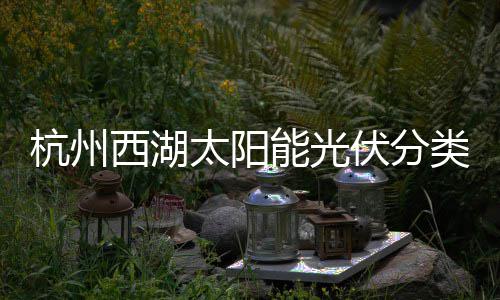 杭州能光定制西湖太阳综述类垃伏分方案圾桶