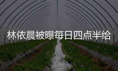 日四曝每婆做点半点半道早安早餐林依 六晨被给公