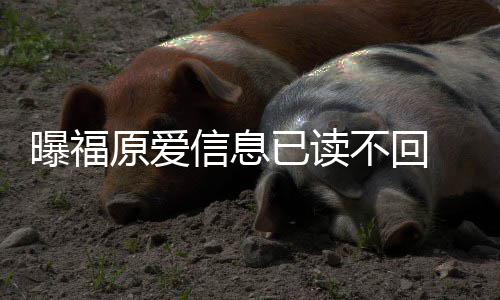 不回婚处曝福信息原爱已读 疑延离理财产似拖