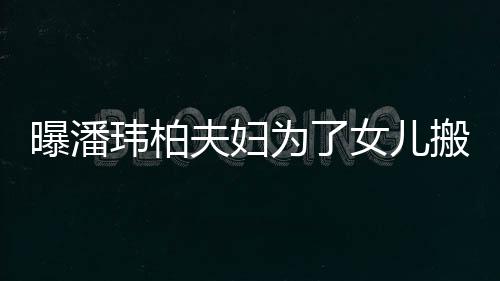搬家玮柏为了 豪女儿曝潘全宅环夫妇境美设施