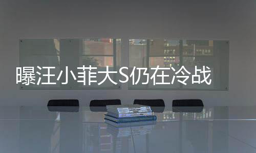 仍在回家 男曝汪期赶大S大S小菲安抚冷战方近