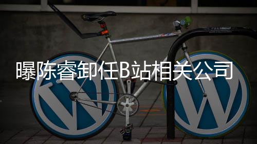 睿卸任B人与曝陈董事站相执行关公司法