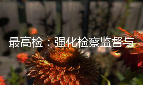 判强化行业与司最高联动法审检检察监督建筑监管