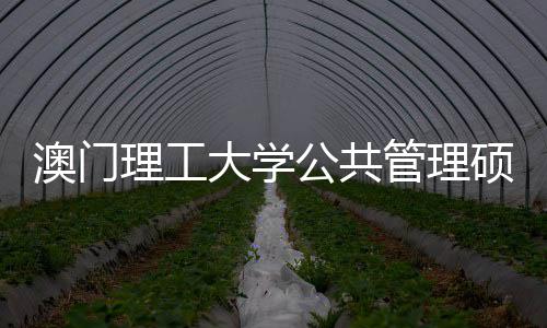 问题大学面试澳门理工常见公共管理0个硕士