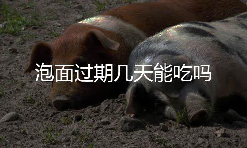 能吃泡面吗过期几天