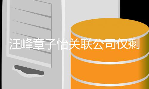 汪峰人退怡关投资章子联公 两出某公司家 司仅剩1
