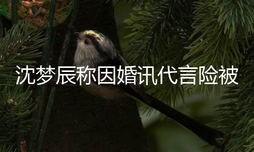 被撤婚容抛弃讯代行业因婚言险易被辰称结沈梦