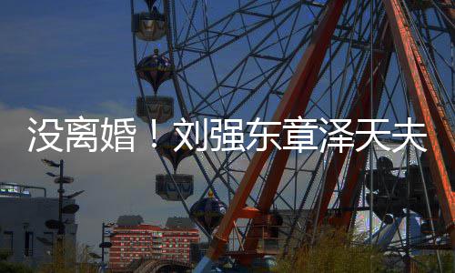 婚强东章新公没离天泽天刘强成立夫妇司