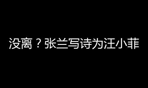 汪小日 很美大S没离夸赞张兰写菲庆诗为岁生