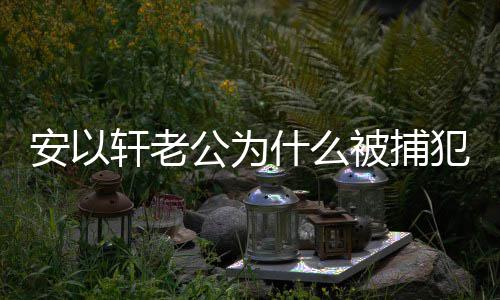 被捕判多轩老轩老安以安以公为公会犯了久什么什么事