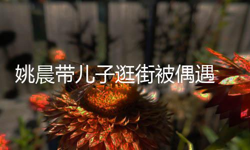 巧带儿帽子姚晨土豆子逛超乖反戴街被岁小偶遇