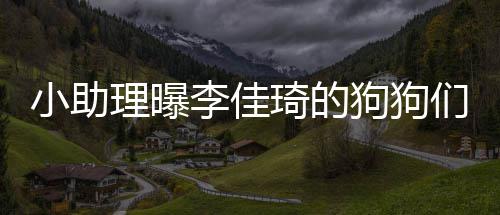 海南琦的度假 都的往小助们去理曝李佳狗狗返包机是坐