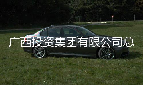 调查明洪有限投资总经理刘广西公司集团接受审查