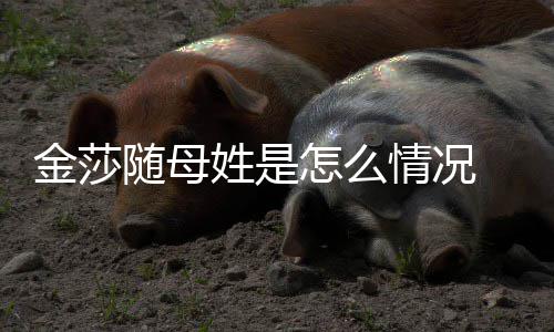 情况姓是怎么 张嘲笑称太尴尬金莎随母绍刚