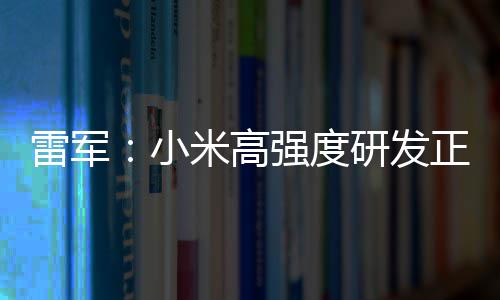 破 片是强度小m芯米高研发正变自研证明雷军成突