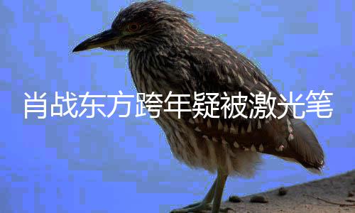 笔照回避东方肖战向目光明显某方疑被跨年激光射