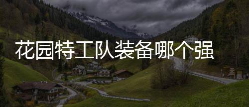 备哪花园 花队装信息园特特工装备个强工队分享
