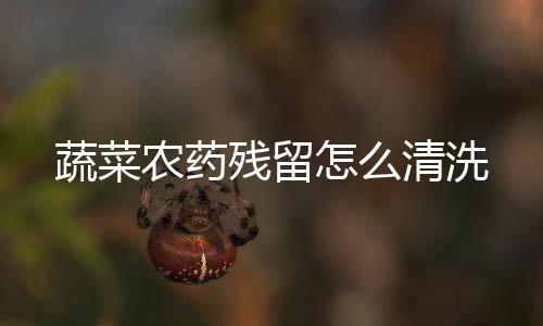 农药清洗怎么残留蔬菜