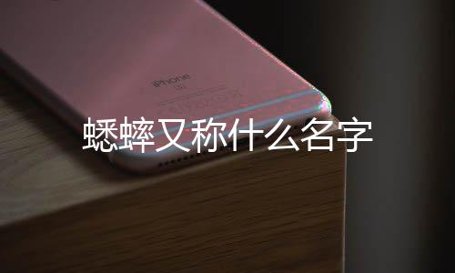 蟋蟀名字又称什么